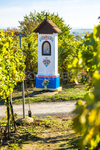 God's torture with vineyard near Nechory, Czech Republic Stock photo © phbcz