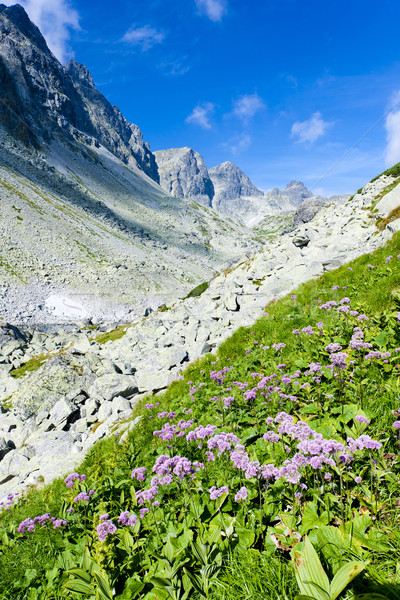 Stock photo: valley under Prielom, Vysoke Tatry (High Tatras), Slovakia