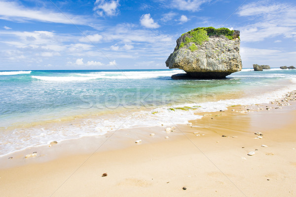 Wschodniej wybrzeża Barbados Karaibów krajobraz morza Zdjęcia stock © phbcz