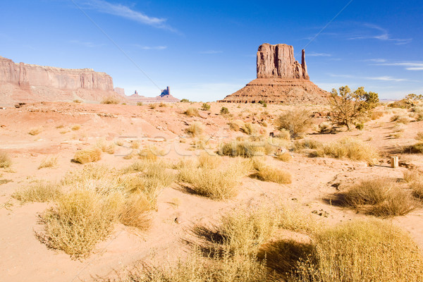 The Mitten, Monument Valley National Park, Utah-Arizona, USA Stock photo © phbcz