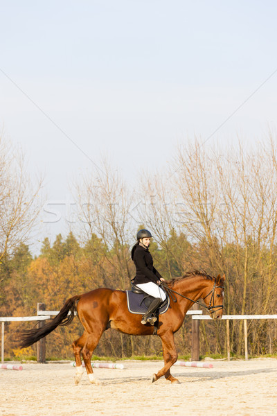 Lovas lóháton nők ló fut pihen Stock fotó © phbcz