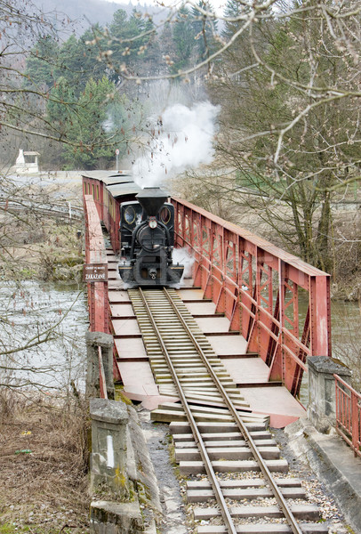 steam train, Ciernohronska Railway, Slovakia Stock photo © phbcz