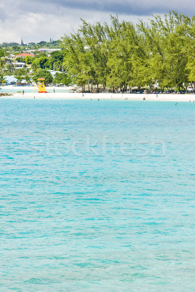 Enterprise Beach, Barbados, Caribbean Stock photo © phbcz