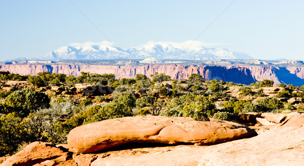 Park Utah USA Landschaft Berge Felsen Stock foto © phbcz