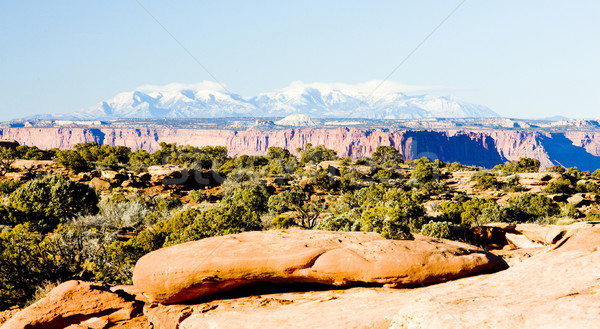 Parque Utah EUA paisaje montanas rocas Foto stock © phbcz