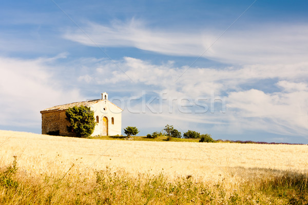 Stock photo: chapel with grain field, Plateau de Valensole, Provence, France
