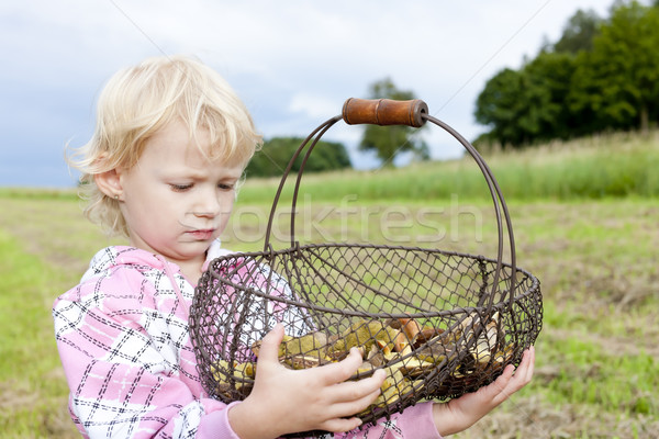 Stock photo: portrait of little girl with basket of mushrooms