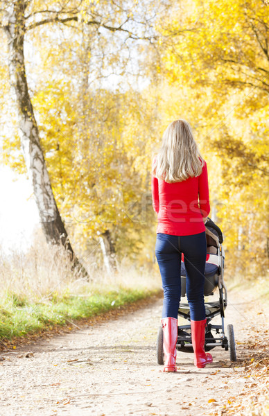 Kobieta wózki dla dzieci chodzić jesienny aleja baby Zdjęcia stock © phbcz