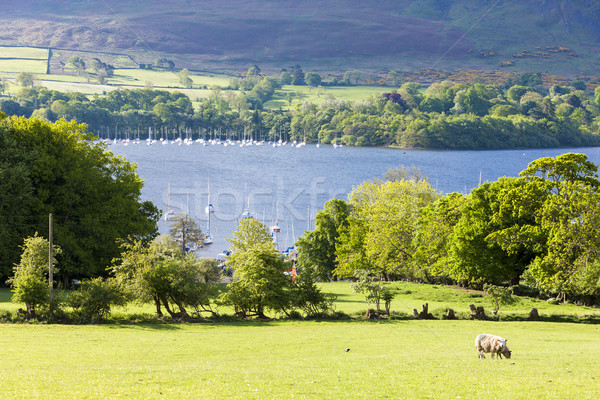 Lake district Anglii krajobraz jezioro Europie ciszy Zdjęcia stock © phbcz