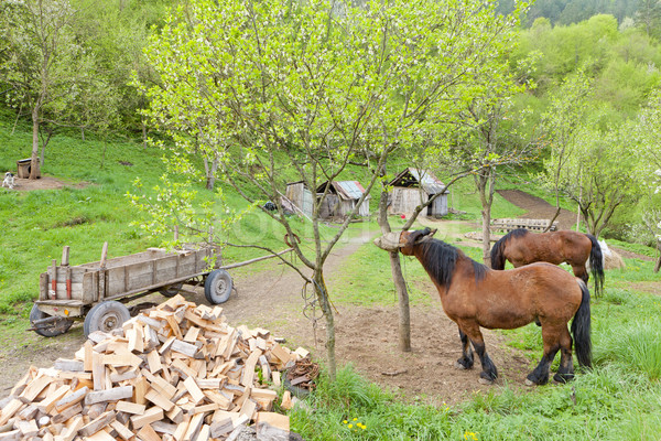 countryside of Bosnia and Hercegovina Stock photo © phbcz