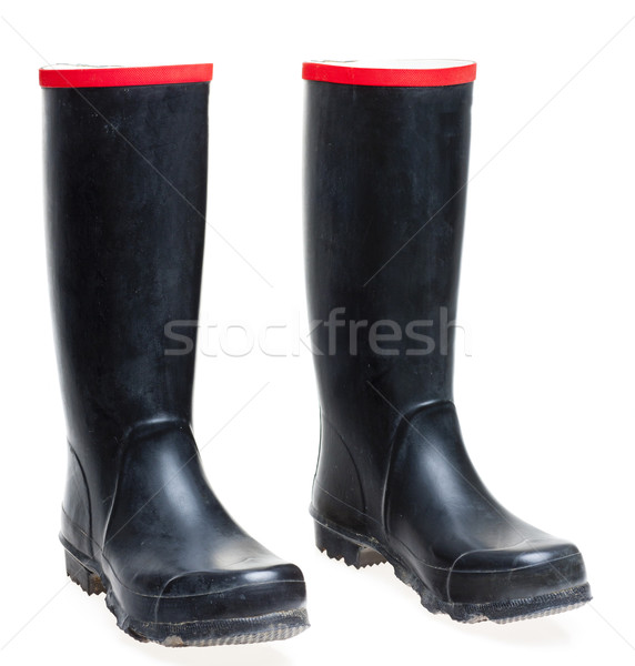 Wellingtons Stock photo © phbcz