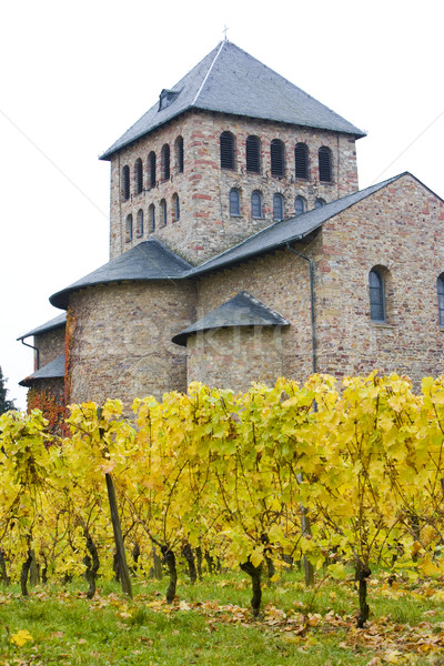 vineyards near Johannisberg Palace, Hessen, Germany Stock photo © phbcz