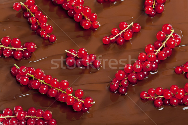 Foto stock: Chocolate · rojo · grosella · postre · dulce · nutrición