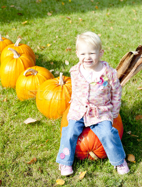 little girl with pumpkins Stock photo © phbcz
