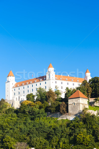 Bratislava castillo Eslovaquia ciudad viaje arquitectura Foto stock © phbcz