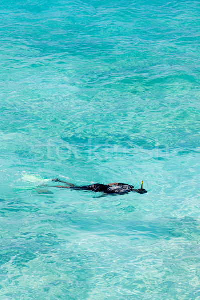 snorkeling, Southern coast of Barbados, Caribbean Stock photo © phbcz