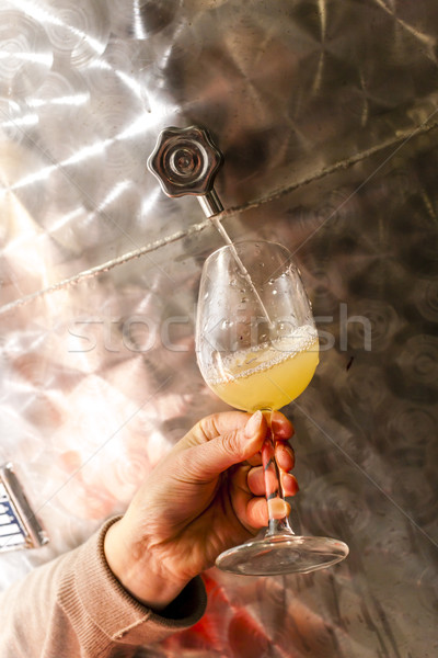 grape juice during wine harvest, Southern Moravia, Czech Republi Stock photo © phbcz