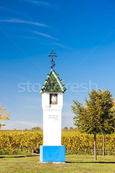 God's torture with vineyard near Velke Bilovice, Czech Republic Stock photo © phbcz