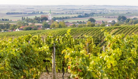 [[stock_photo]]: Vignoble · baisser · Autriche · église · Voyage · Europe