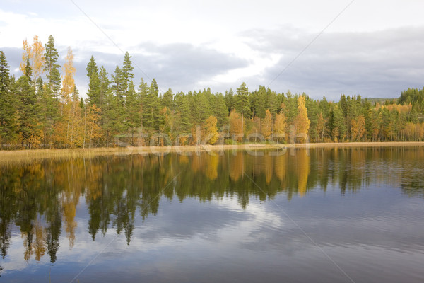 Paisaje Noruega lago otono paisajes silencio Foto stock © phbcz