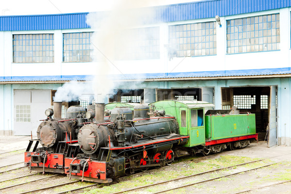 Stock photo: steam locomotives in depot, Kostolac, Serbia