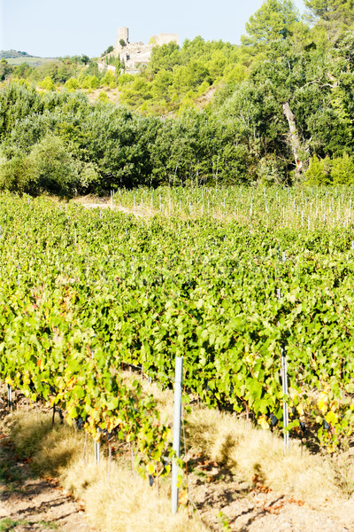 castle in Durban-Corbiere with vineyards, Languedoc-Roussillon,  Stock photo © phbcz