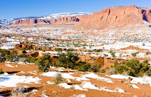 Park Utah USA landschap sneeuw rotsen Stockfoto © phbcz