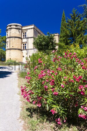 garden in Les Baux de-Provence, Provence, France Stock photo © phbcz