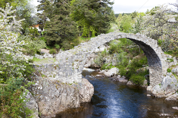 Old Packhorse bridge, Carrbridge, Highlands, Scotland Stock photo © phbcz