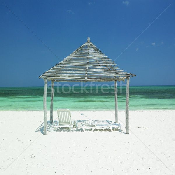 Plaj Küba su deniz yaz Stok fotoğraf © phbcz