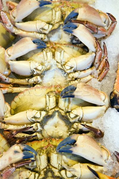 Voedsel gezondheid dode krab buitenshuis Stockfoto © phbcz