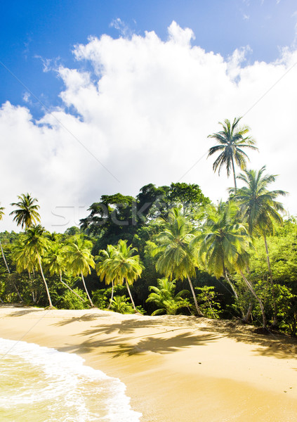 Englishman's Bay, Tobago Stock photo © phbcz