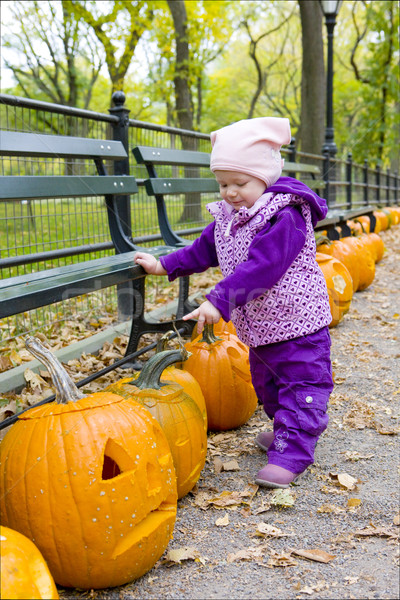 little girl in autumnal Central Park, New York City, USA Stock photo © phbcz
