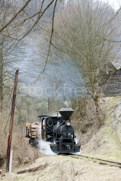 steam train, Ciernohronska Railway, Slovakia Stock photo © phbcz