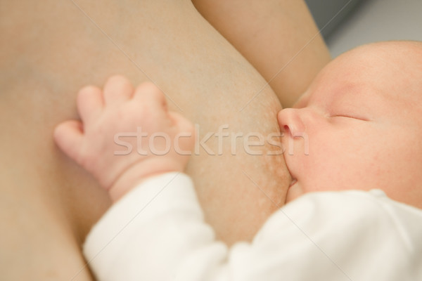 suckling baby Stock photo © phbcz