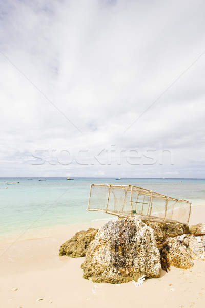 Balk zes Barbados zee tropische net Stockfoto © phbcz