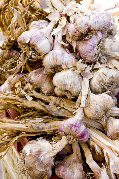 garlic, street market in Castellane, Provence, France Stock photo © phbcz