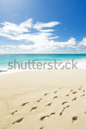 Барбадос Карибы пейзаж морем отпуск рай Сток-фото © phbcz