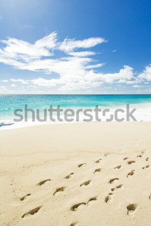 Foul Bay, Barbados, Caribbean Stock photo © phbcz