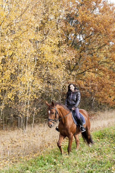 equestrian on horseback in autumnal nature Stock photo © phbcz