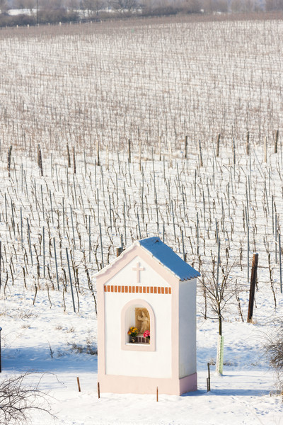 Kínzás tél szőlőskert déli Csehország épület Stock fotó © phbcz
