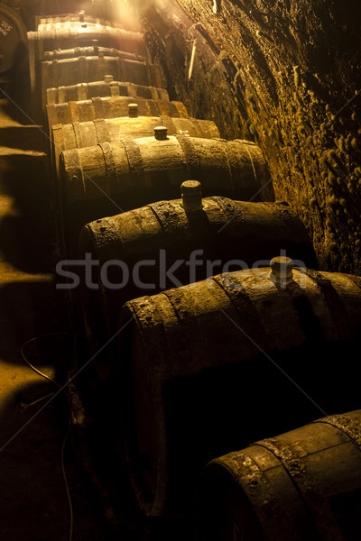 Wijnkelder Tsjechische Republiek wijn vat binnenkant arrangement Stockfoto © phbcz
