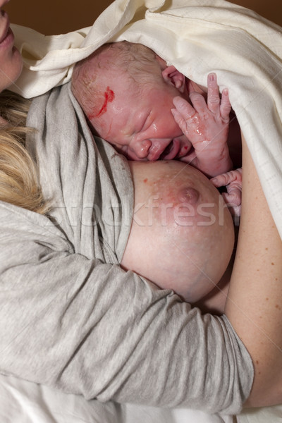 laying of a newborn baby to the breast after birth Stock photo © phbcz
