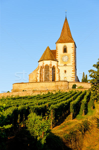 church with vineyard, Hunawihr, Alsace, France Stock photo © phbcz