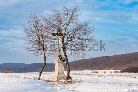 Cayo Guillermo, Ciego de  Stock photo © phbcz