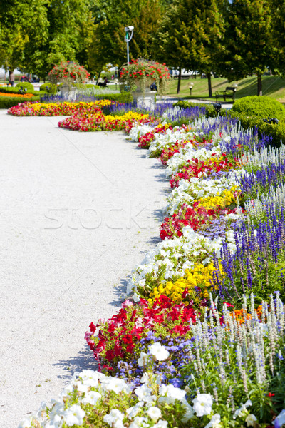 Foto stock: Jardim · palácio · Bratislava · Eslováquia · flor