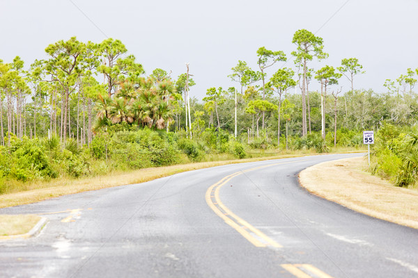 road in Everglades National Park, Florida, USA Stock photo © phbcz