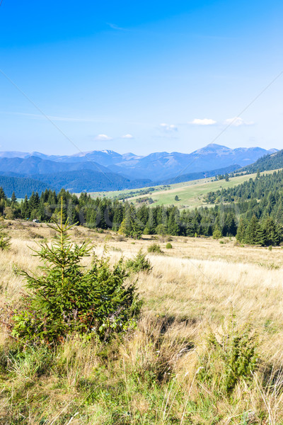 Nizke Tatry (Low Tatras), Slovakia Stock photo © phbcz