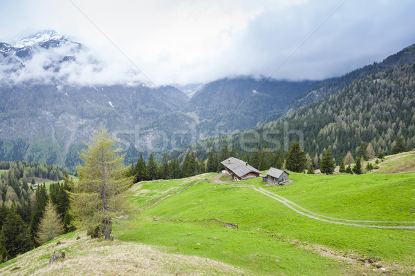 Upper Tauern National Park near Grossglockner, Carinthia and Eas Stock photo © phbcz