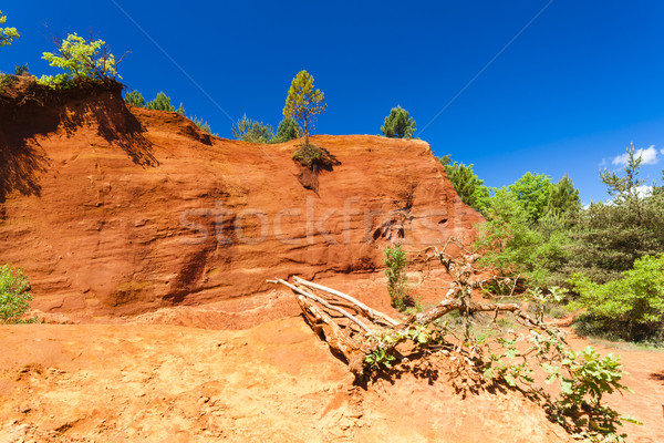 Colorado Francja drzewo podróży rock Europie Zdjęcia stock © phbcz
